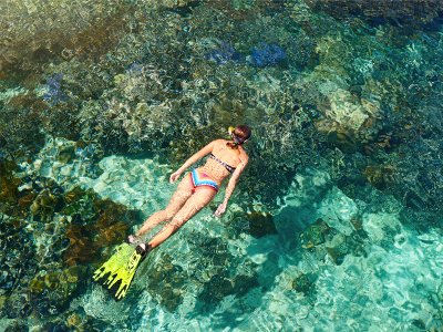 Snorkeling woman reef