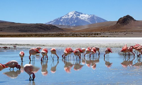 Bolivia Salt Flat