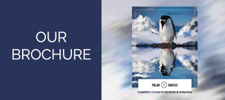 Polar Routes brochure