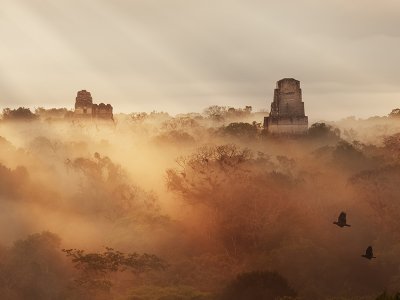 Misty site of Tikal, Guatemala