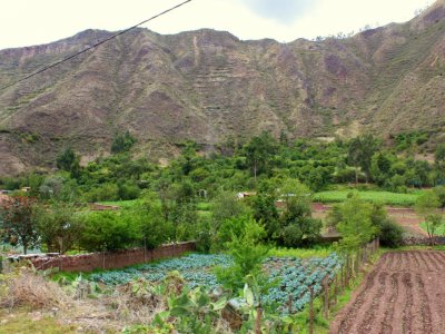 Sacred Valley 5