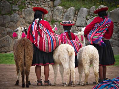 Peruvian girls and Alpacas