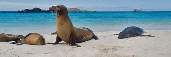 Galapagos Land-Based Holidays