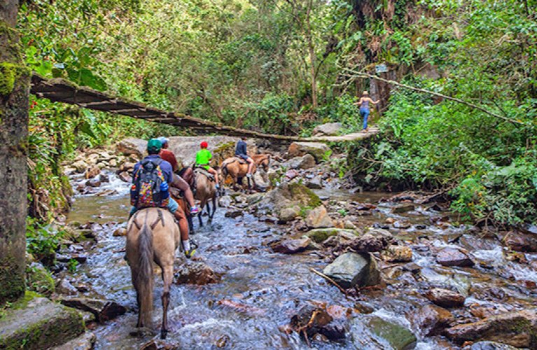 Horse-riding Colombia