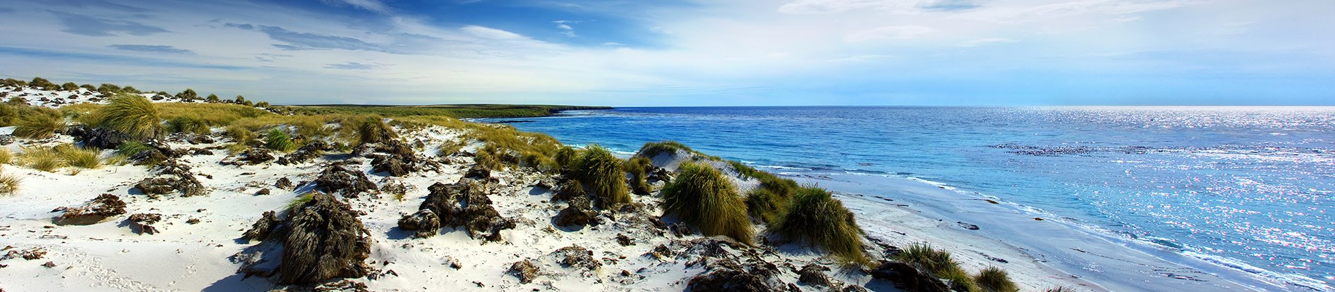Falkland Islands Coastline
