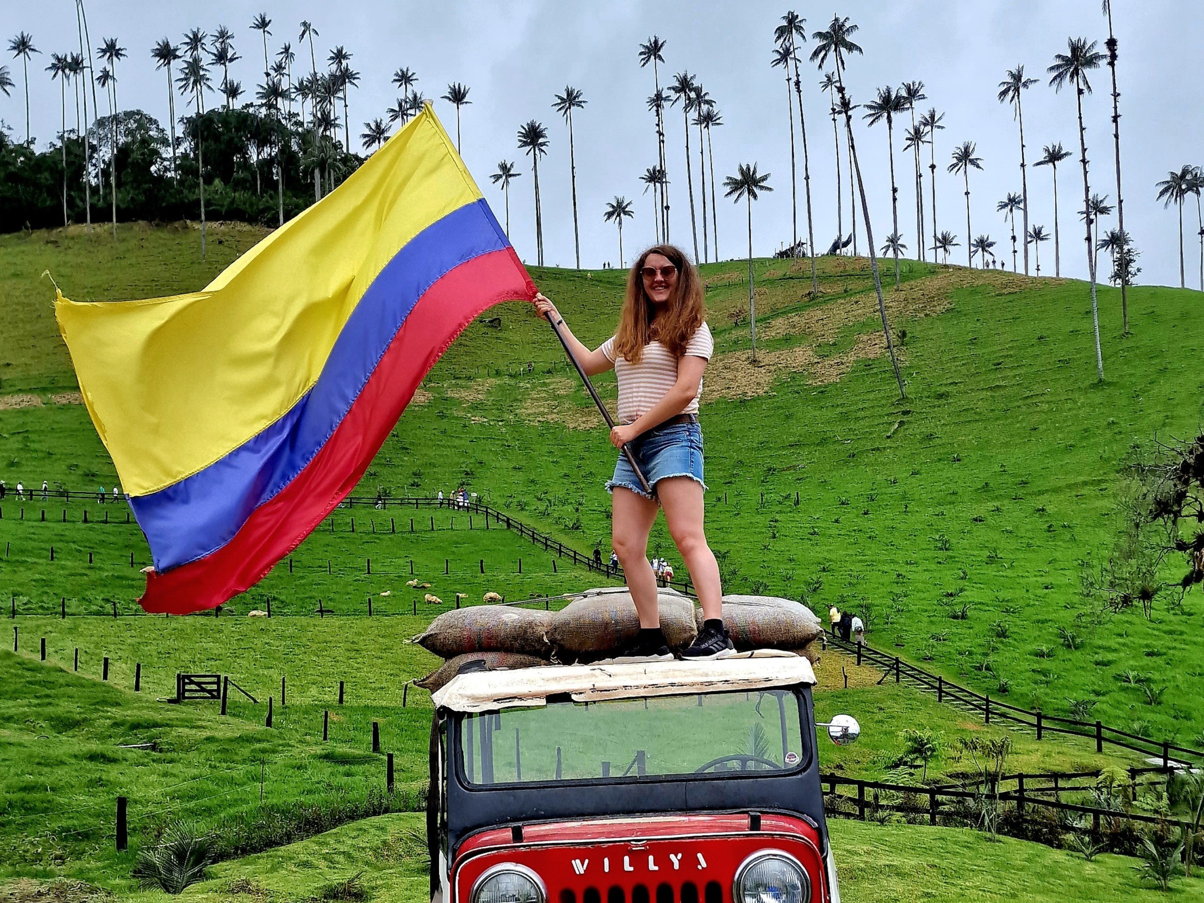 Cocora Valley, Colombia Mihaela Enasoae