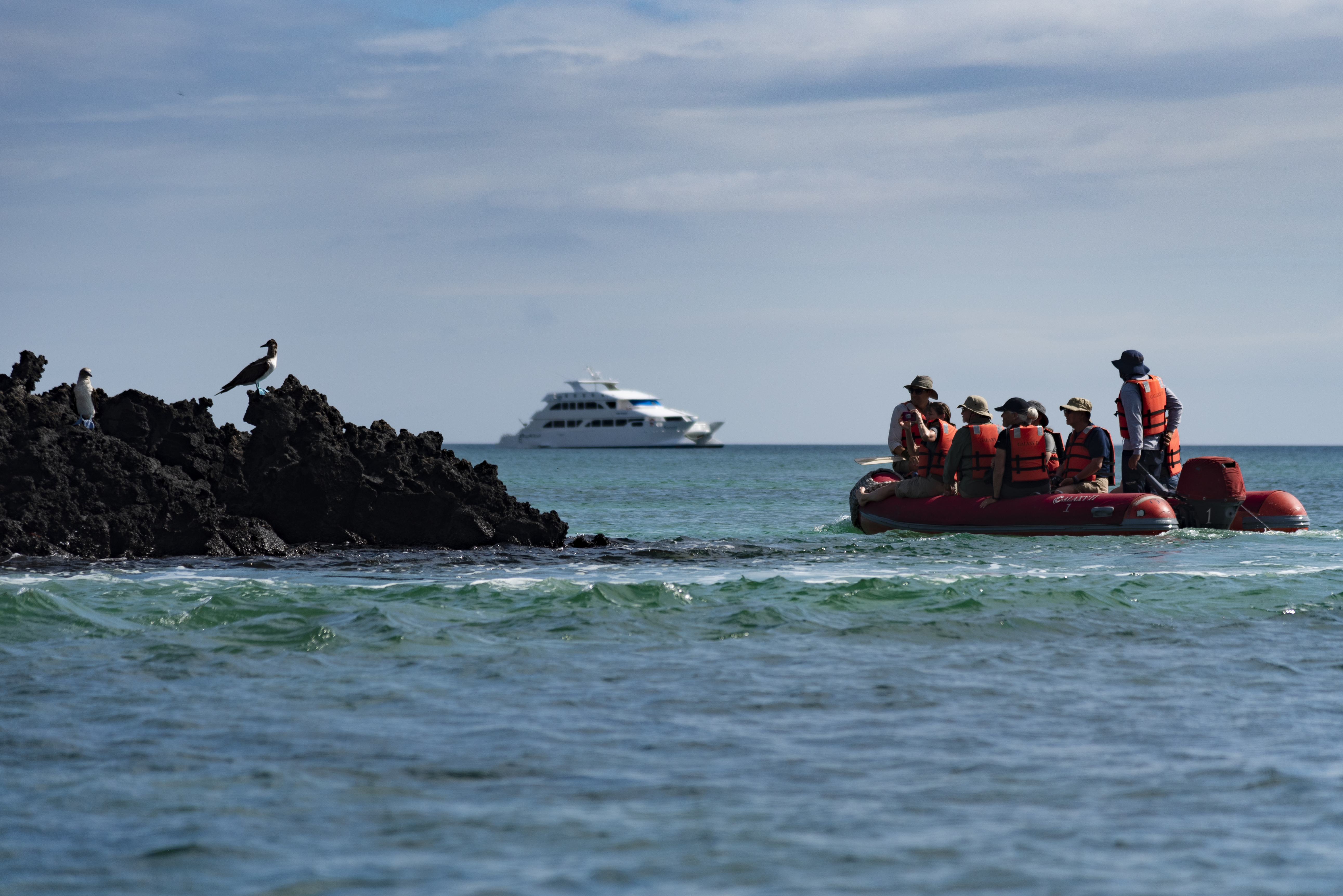 Eco Galaxy zodiac excursion Eco Galaxy zodiac excursion