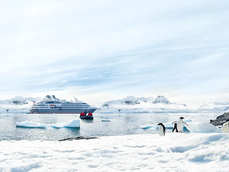 L'austral L'austral