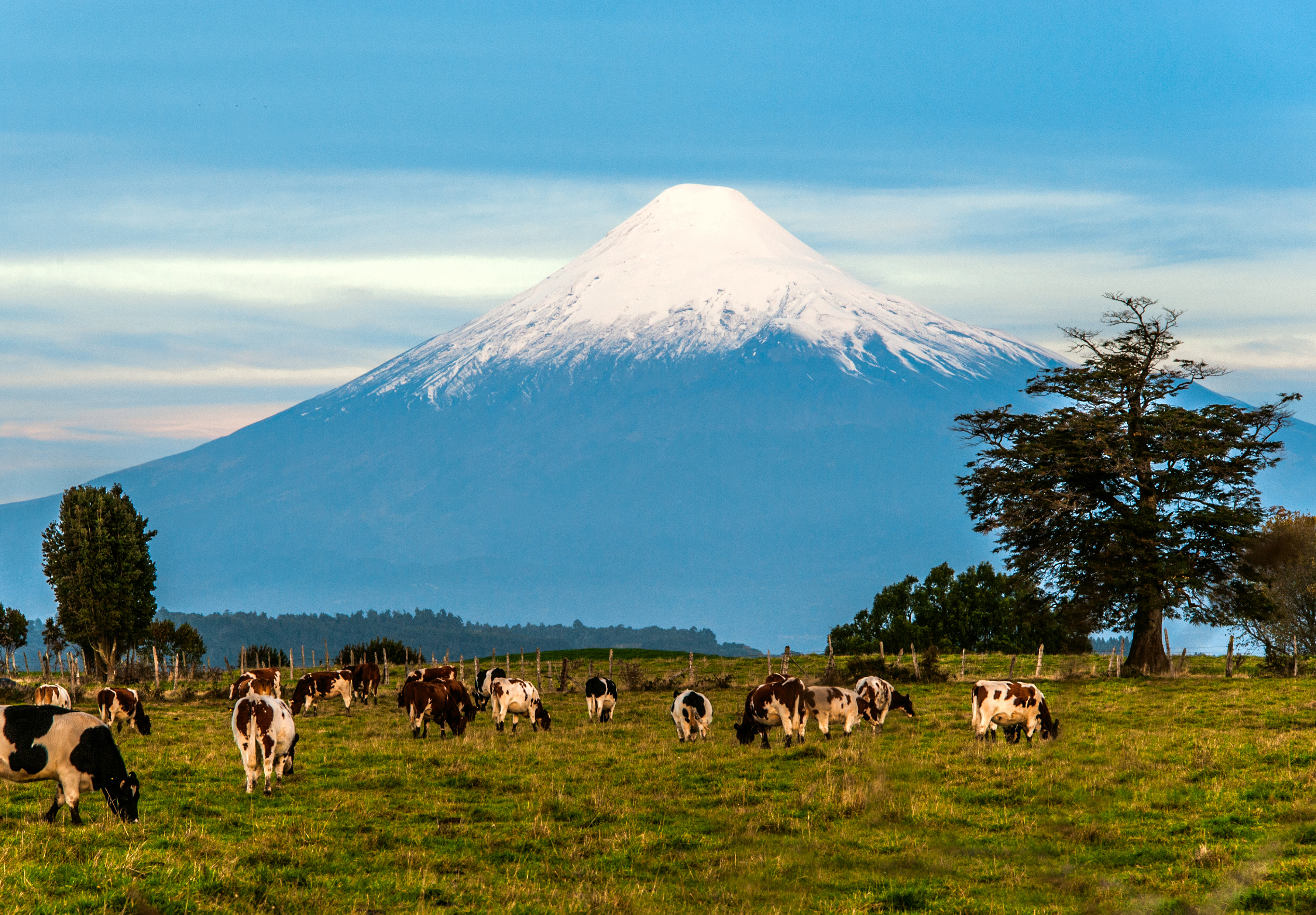 Chile_Osorno_Volcano_Lake_District