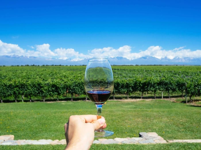 Wine Regions Of South America Wine Regions Of South America