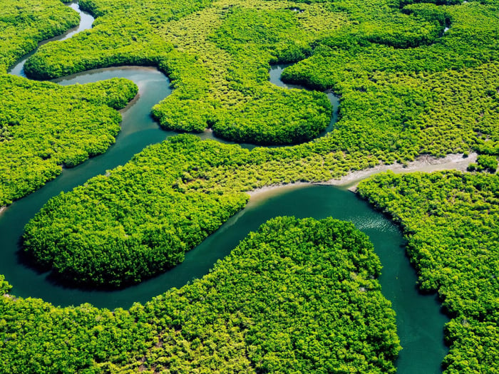 Amazon River Amazon River