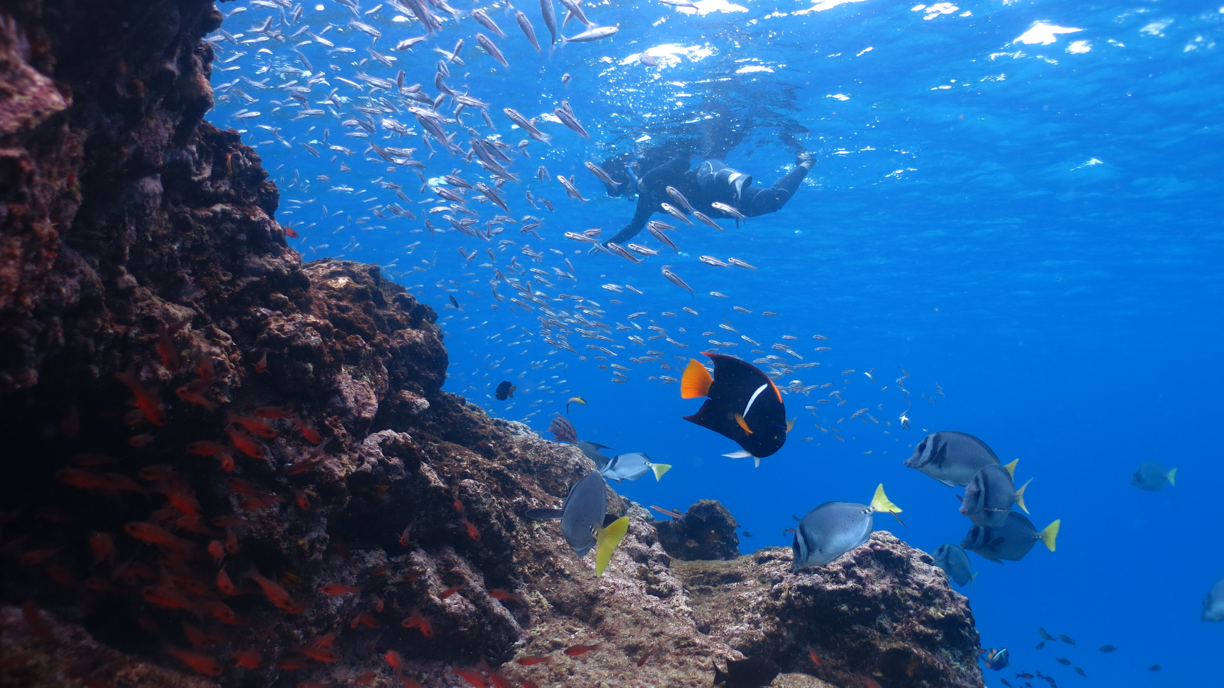 Eco Galaxy snorkelling Eco Galaxy snorkelling