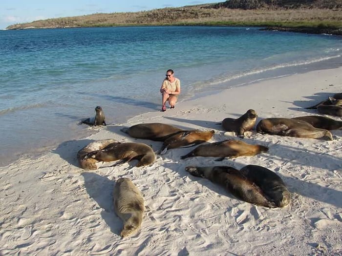 Hannah Galapagos Sea Lions 1