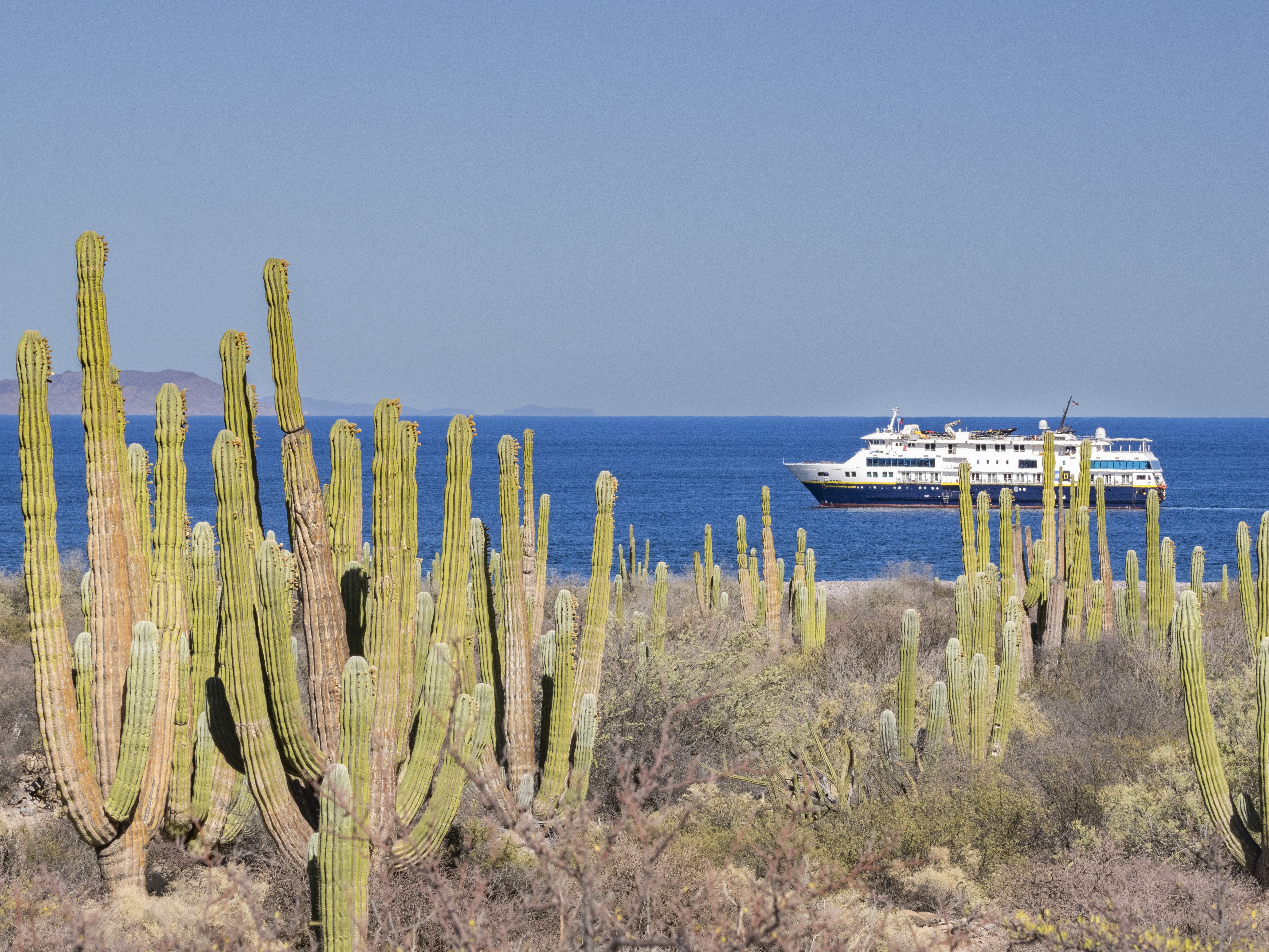 LEX Mexico Sonora Ship NG Venture Exterior MSN MX24 1037 LEX Mexico Sonora Ship NG Venture Exterior MSN MX24 1037