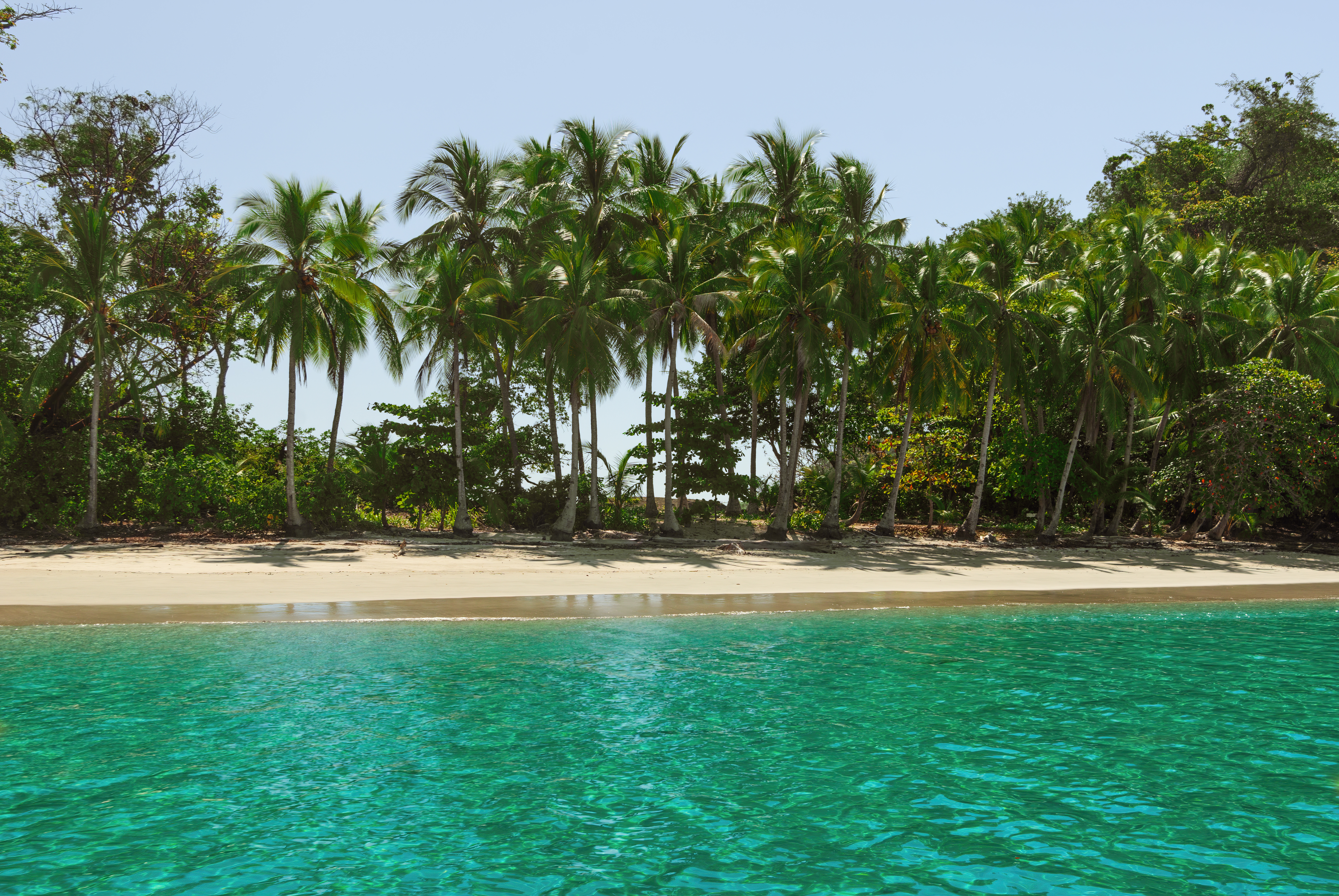 Gamez Island In The Gulf Of Chiriqui, Panama Gamez Island In The Gulf Of Chiriqui, Panama