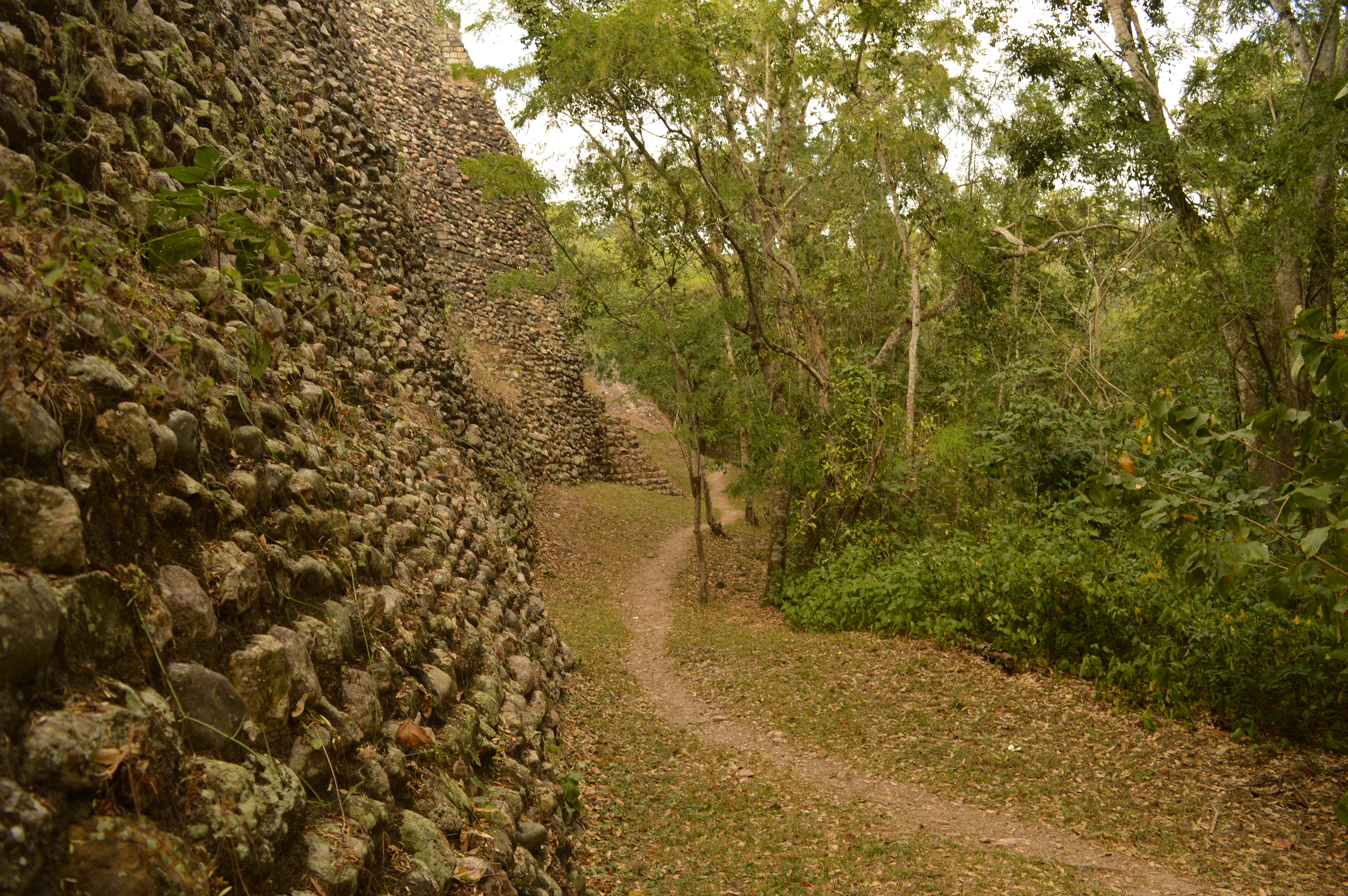 The Mayan Ruins In The Temple City Of Copan In The Jungle Of Honduras, Central America The Mayan Ruins In The Temple City Of Copan In The Jungle Of Honduras, Central America