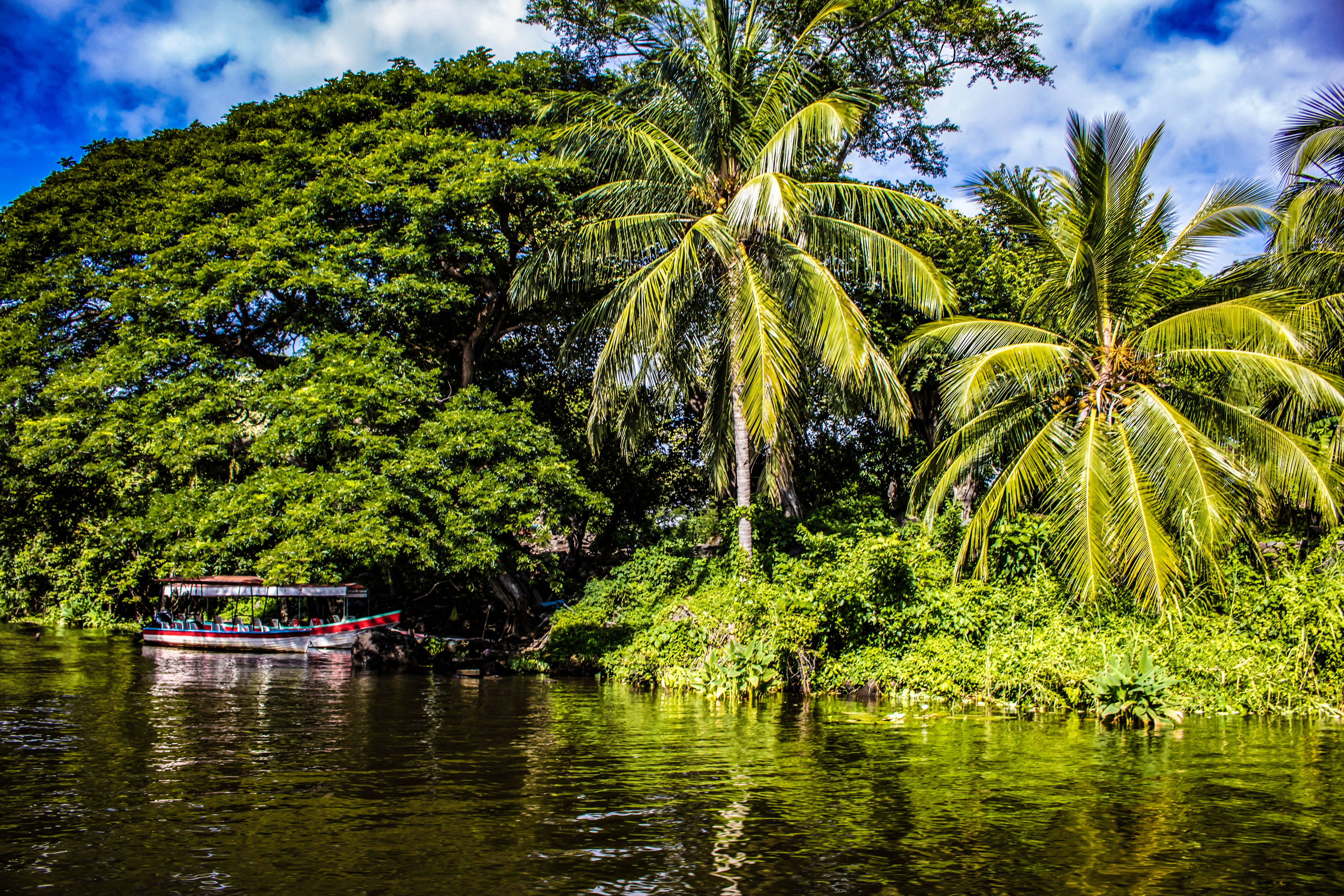 Nicaragua, Granada, Colorful Tour Boat Parked At An Island With Tropical Palm Trees At The Isletas De Granada Nicaragua, Granada, Colorful Tour Boat Parked At An Island With Tropical Palm Trees At The Isletas De Granada