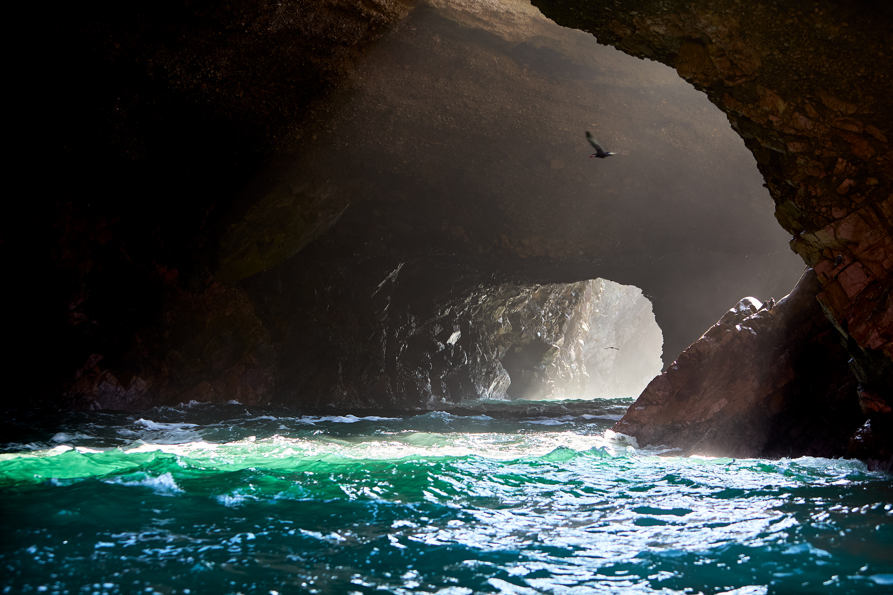 Peru, Paracas, The Ballestas Islands, (1) Peru, Paracas, The Ballestas Islands, (1)