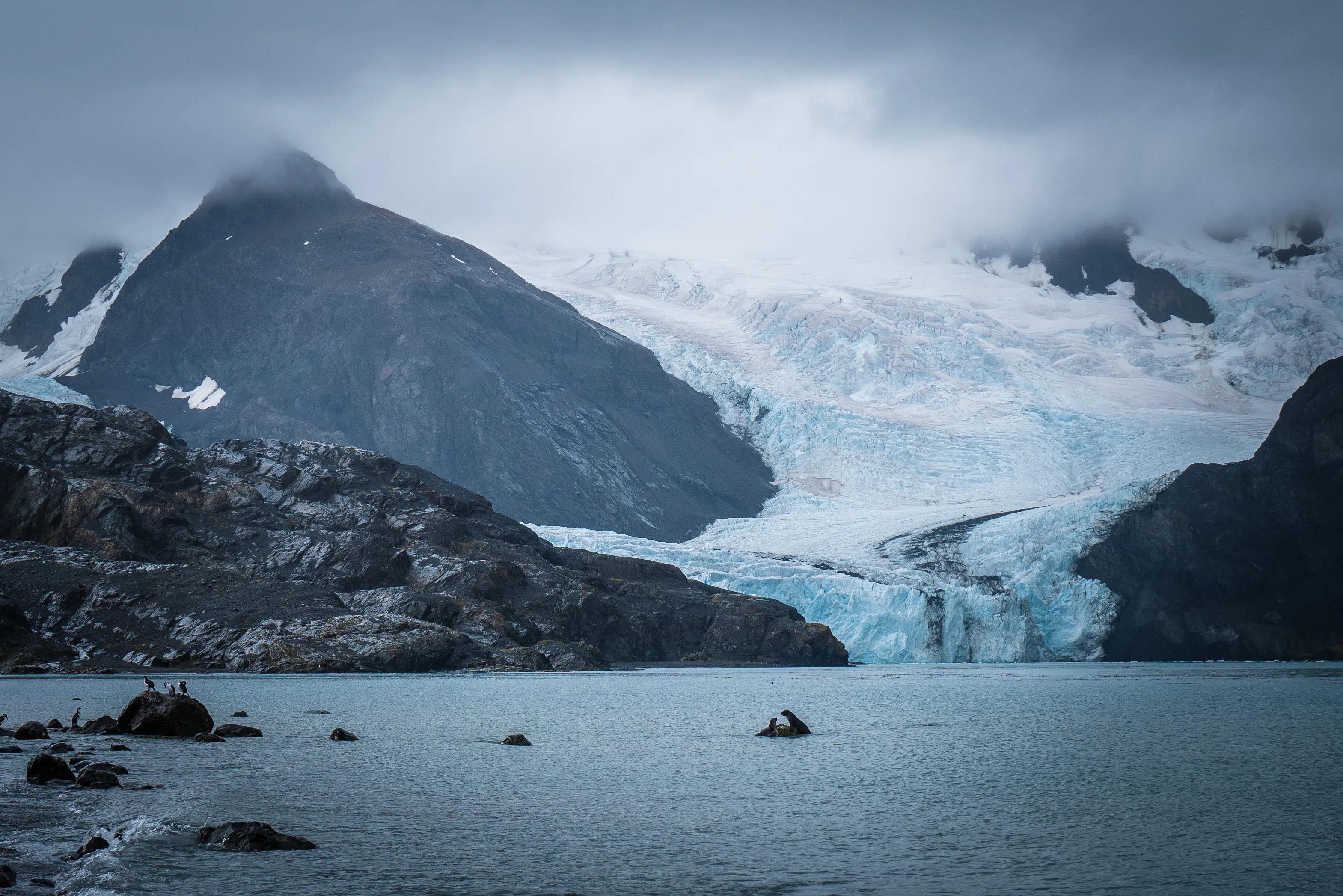 King Haakon Bay, South Georgia