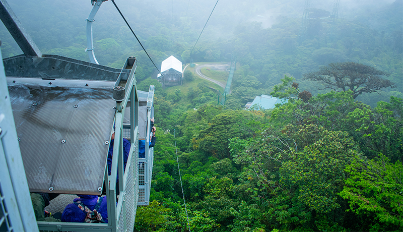 Monteverde Gondola Monteverde Gondola