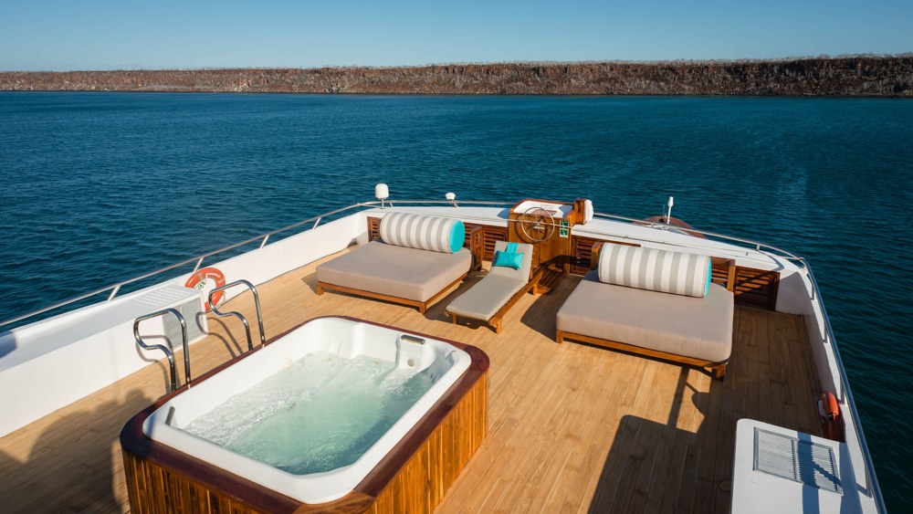 Sea Star Journey 2016 10 Sea Star Journey 2016 10