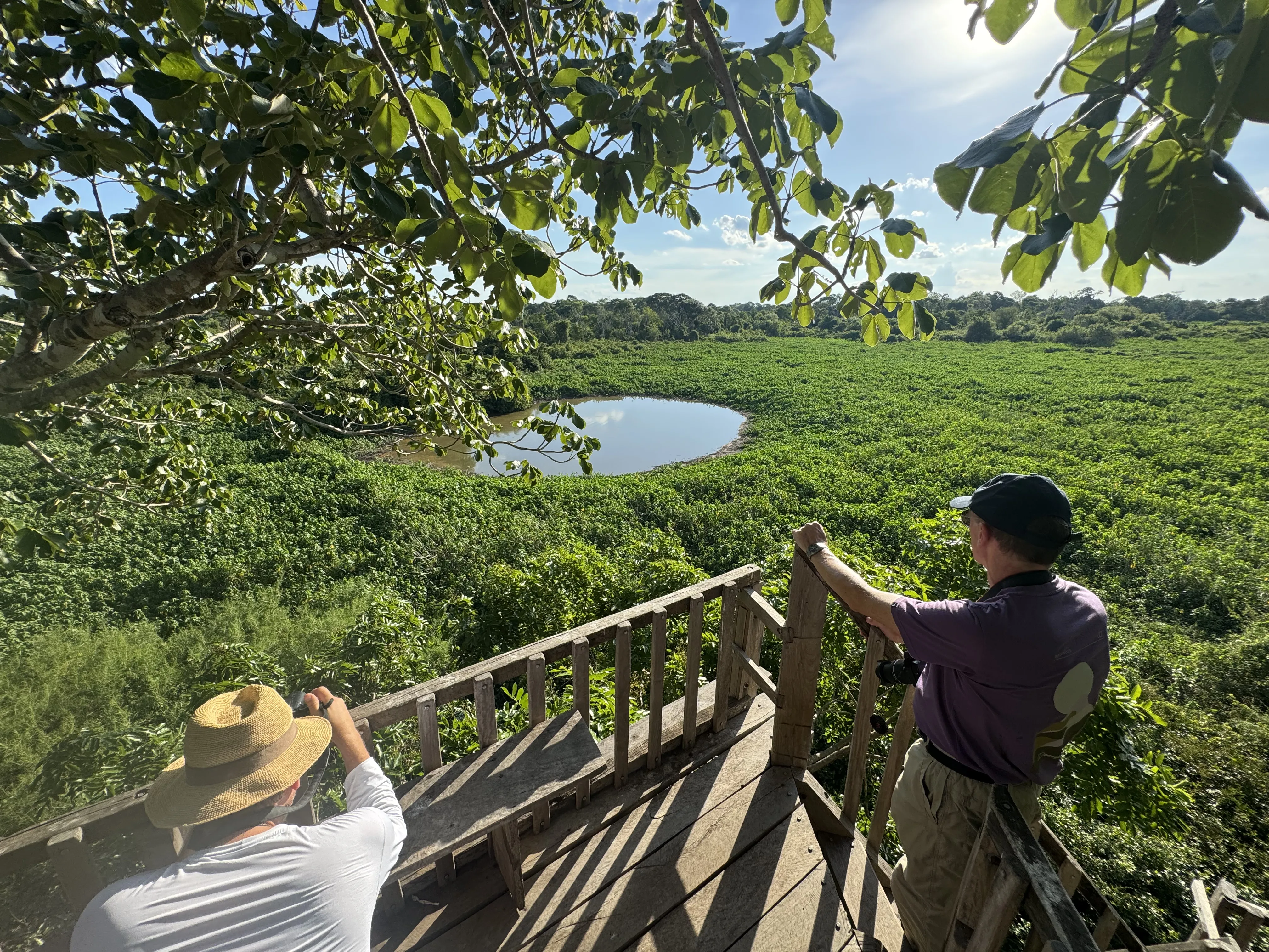 Pantanal, Brazil Pantanal, Brazil