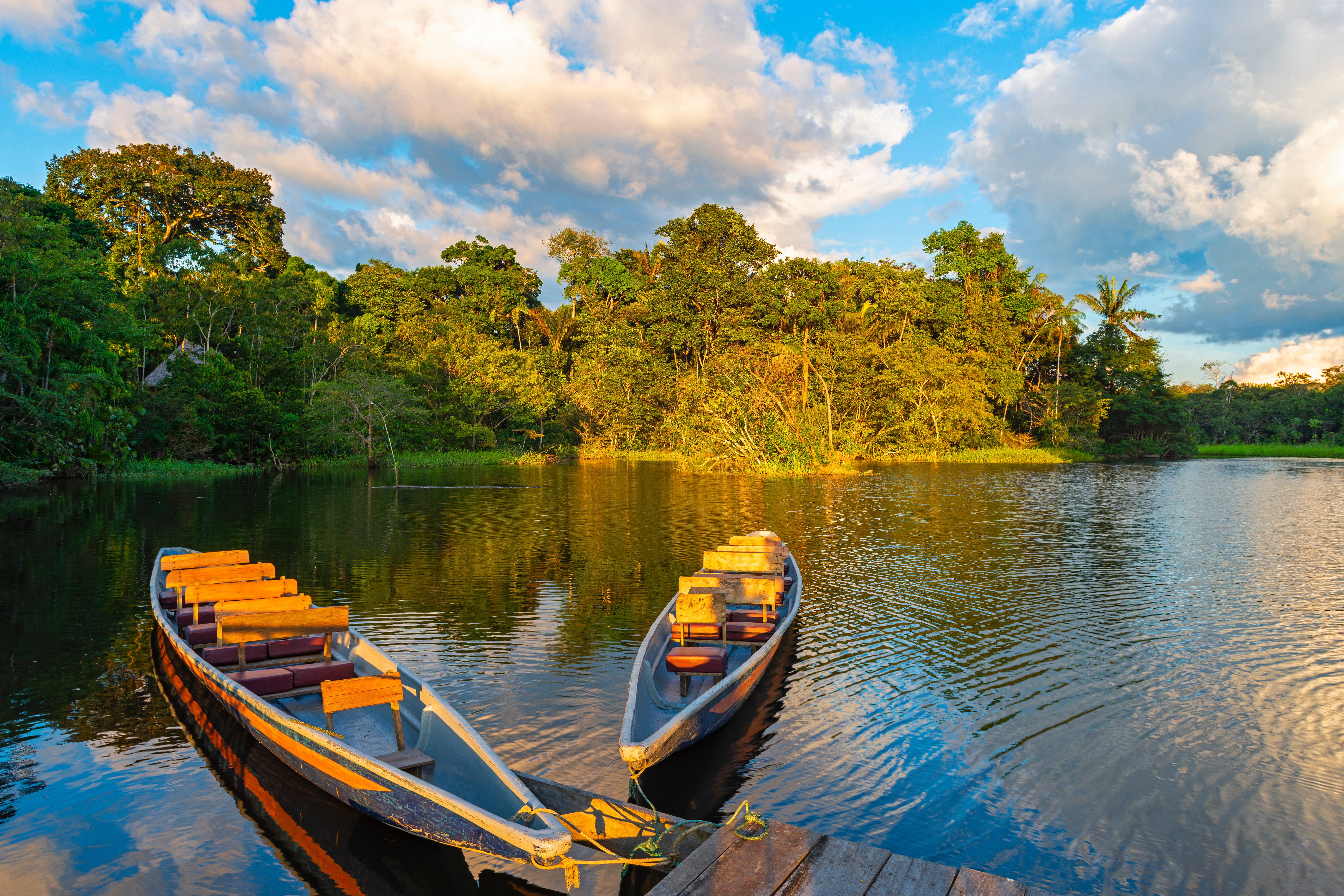 Ecuador Amazon River Basin Yasuni National Park, Ecuador