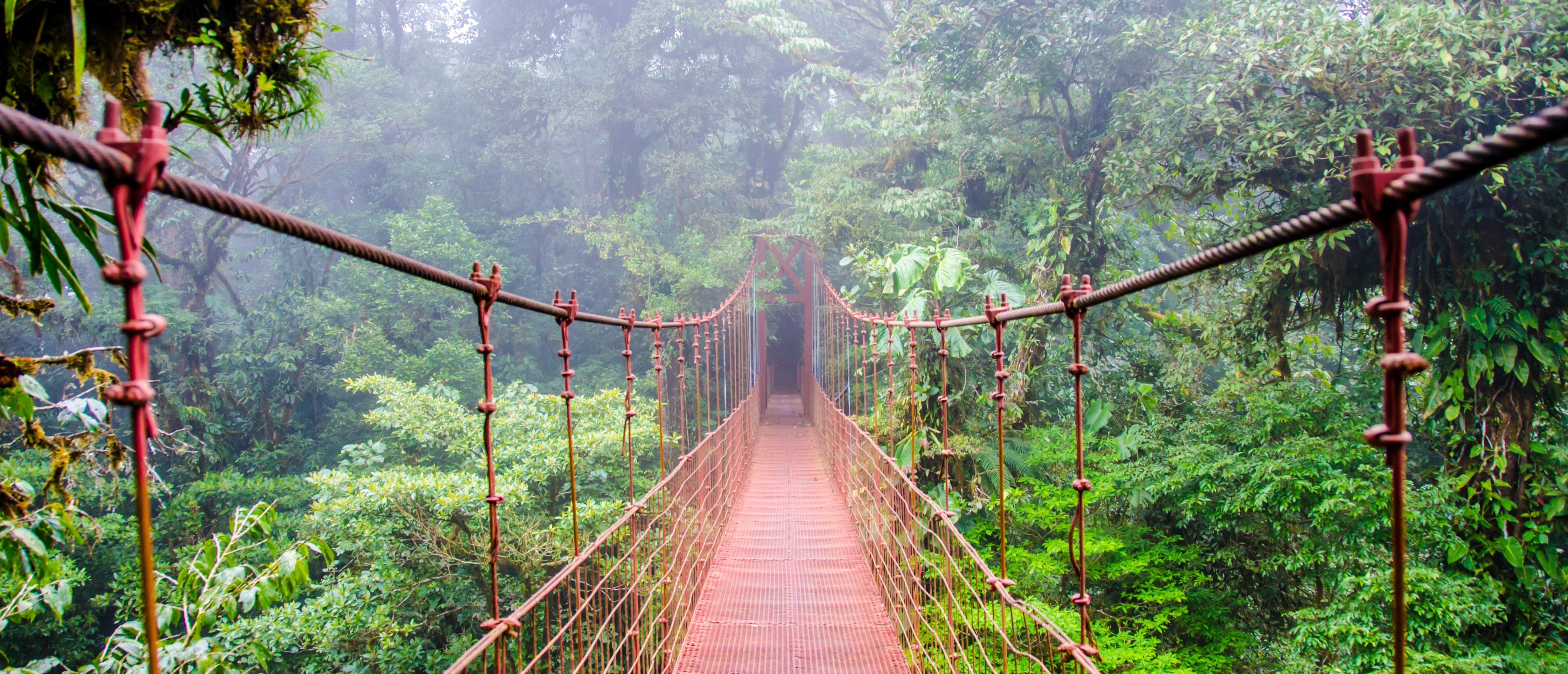 Costa Rica Monteverde HERO BANNER