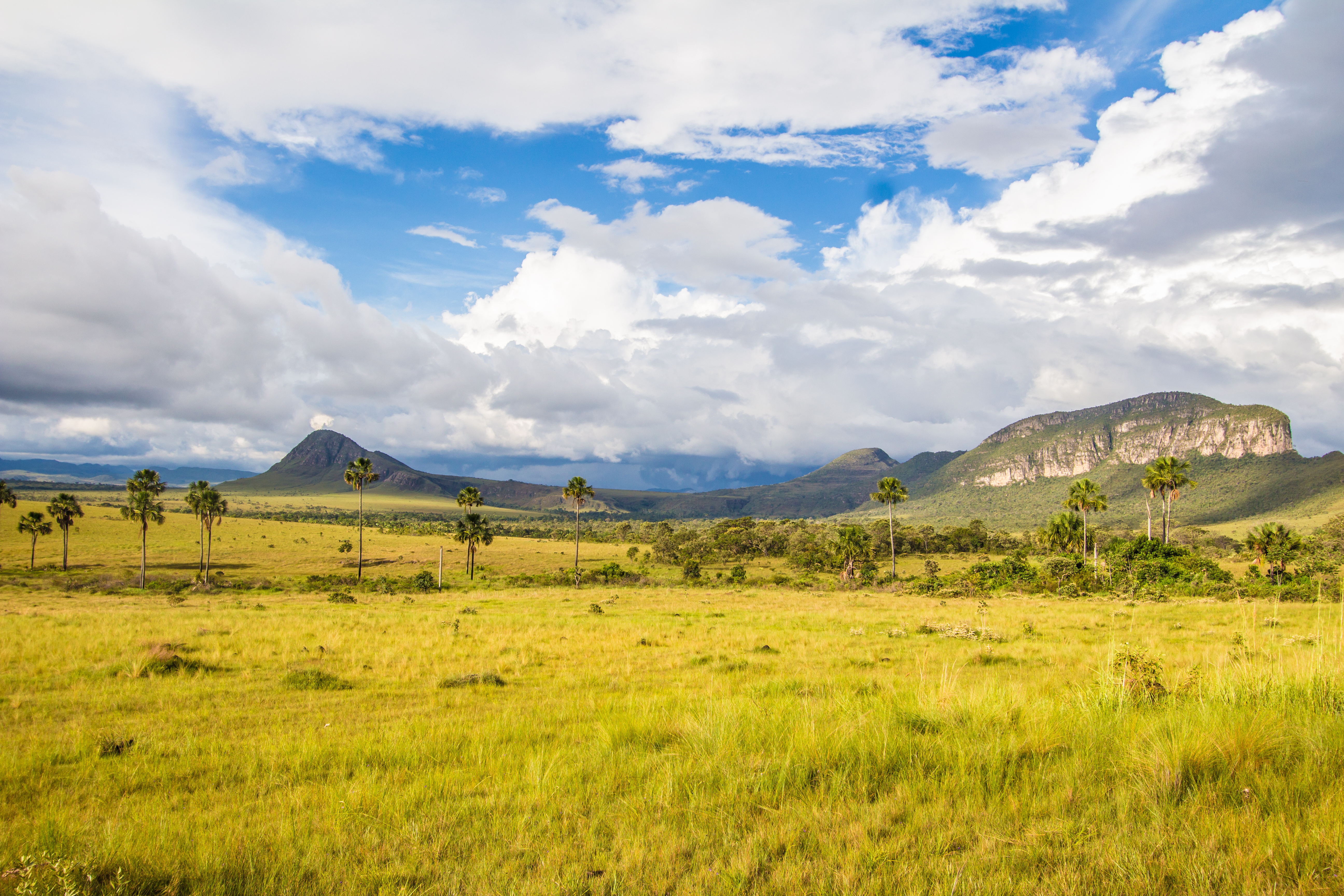 Jardim De Maytrea, Chapada Dos Veadeiros Cerrado Brazil Jardim De Maytrea, Chapada Dos Veadeiros Cerrado Brazil