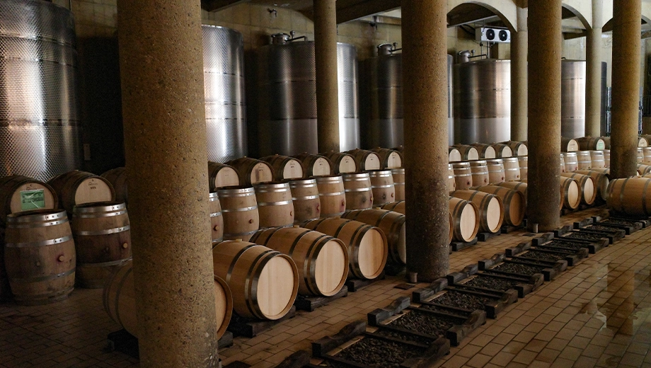 Wine barrels, winery near Santiago Wine barrels, winery near Santiago