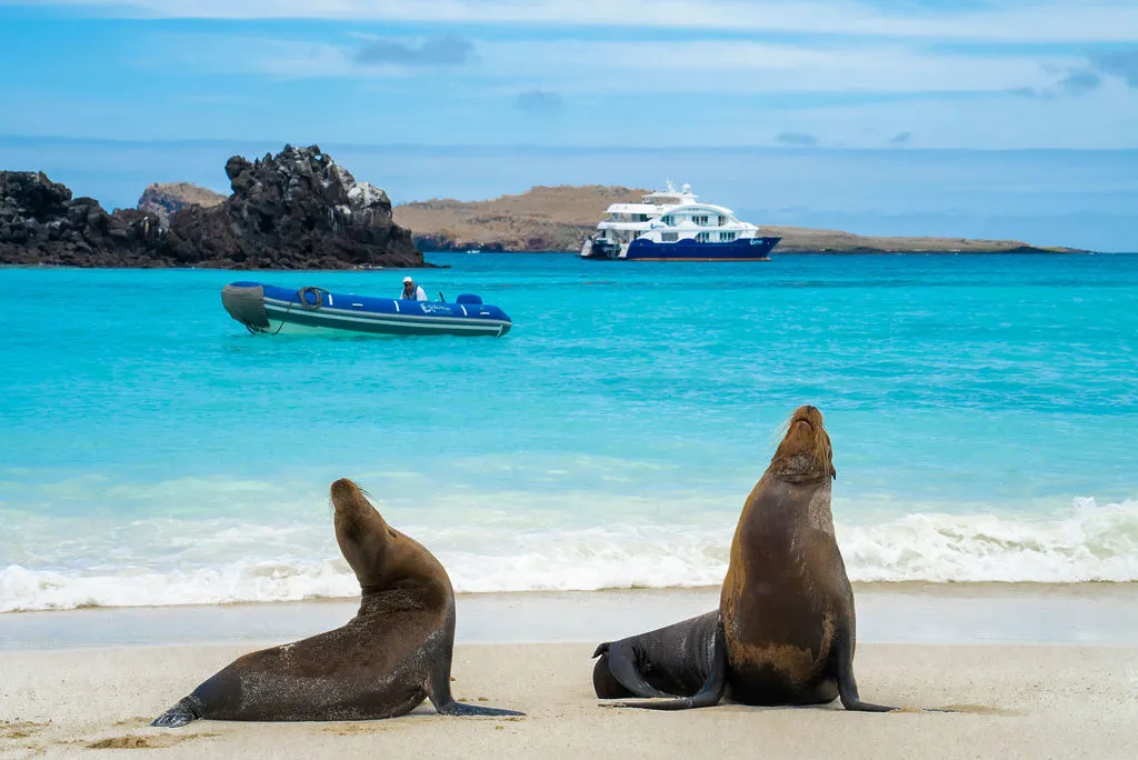 Endemic At Sea In The Galapagos (2) Endemic At Sea In The Galapagos (2)