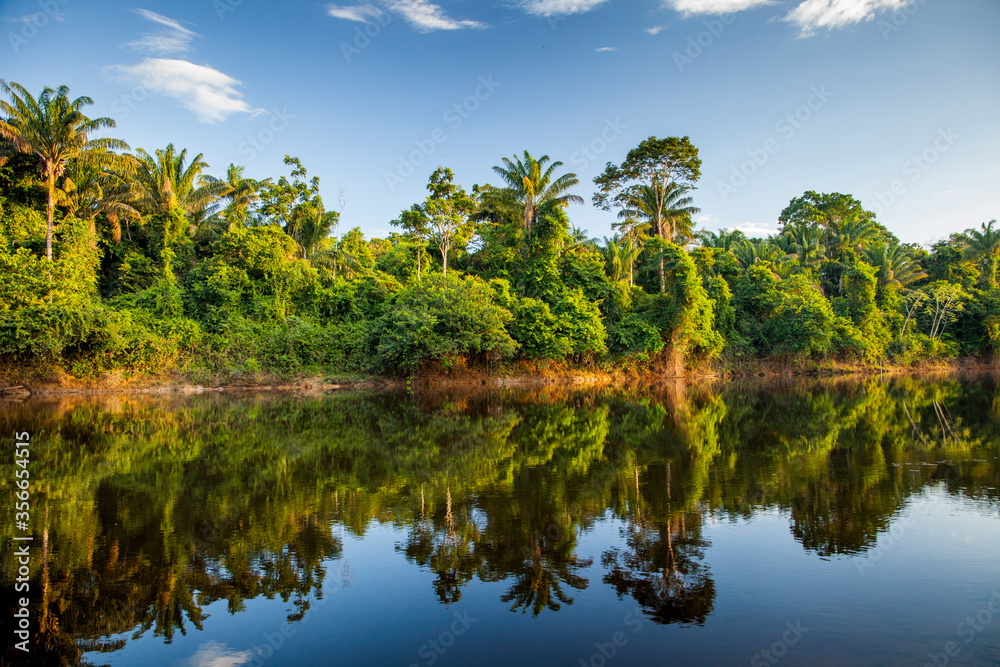 View On The Suriname River In Upper Suriname, View On The Suriname River In Upper Suriname,