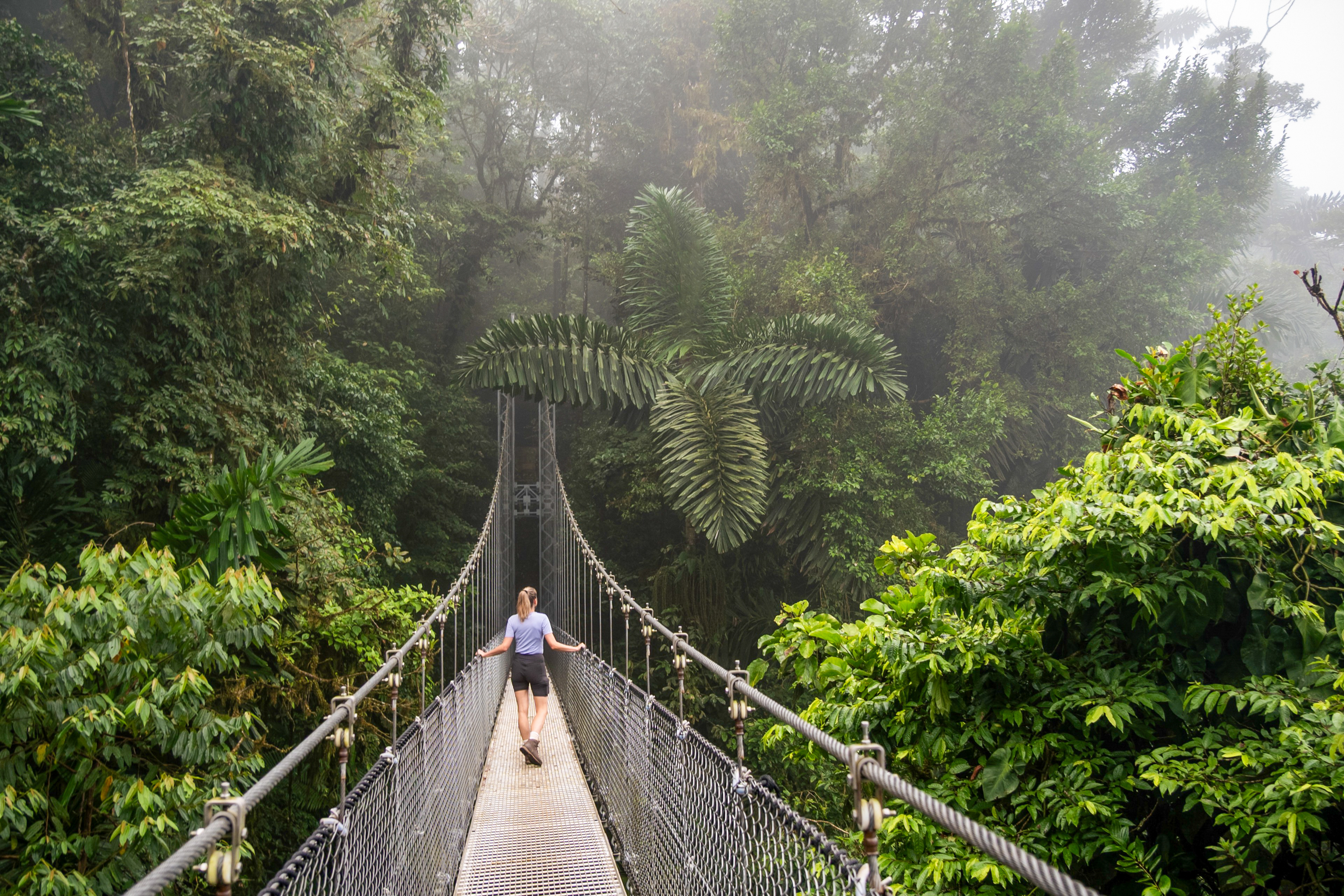 Mistico Hanging Bridges, Arenal National Park, Costa Rica