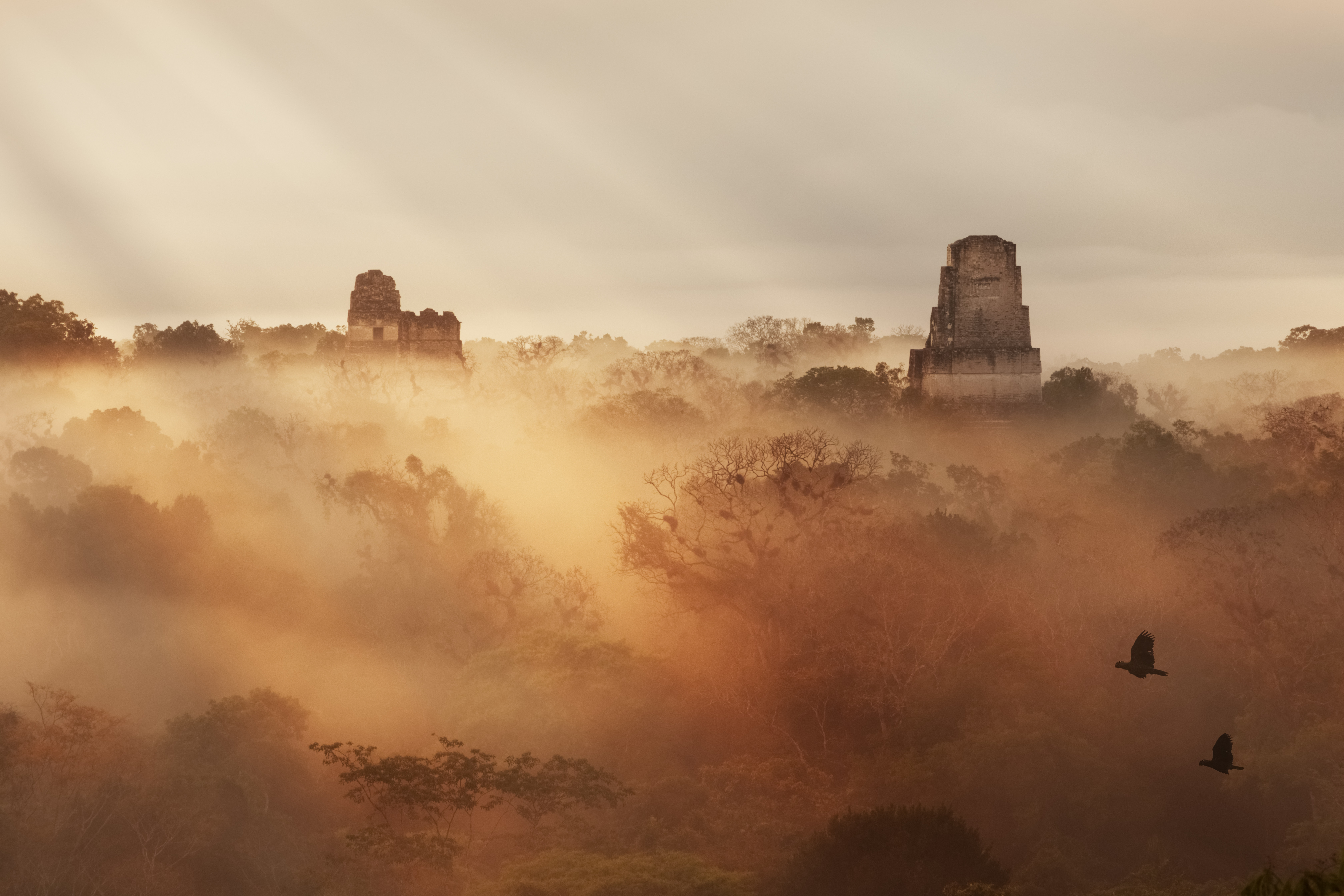 Guat_Tikal_Misty