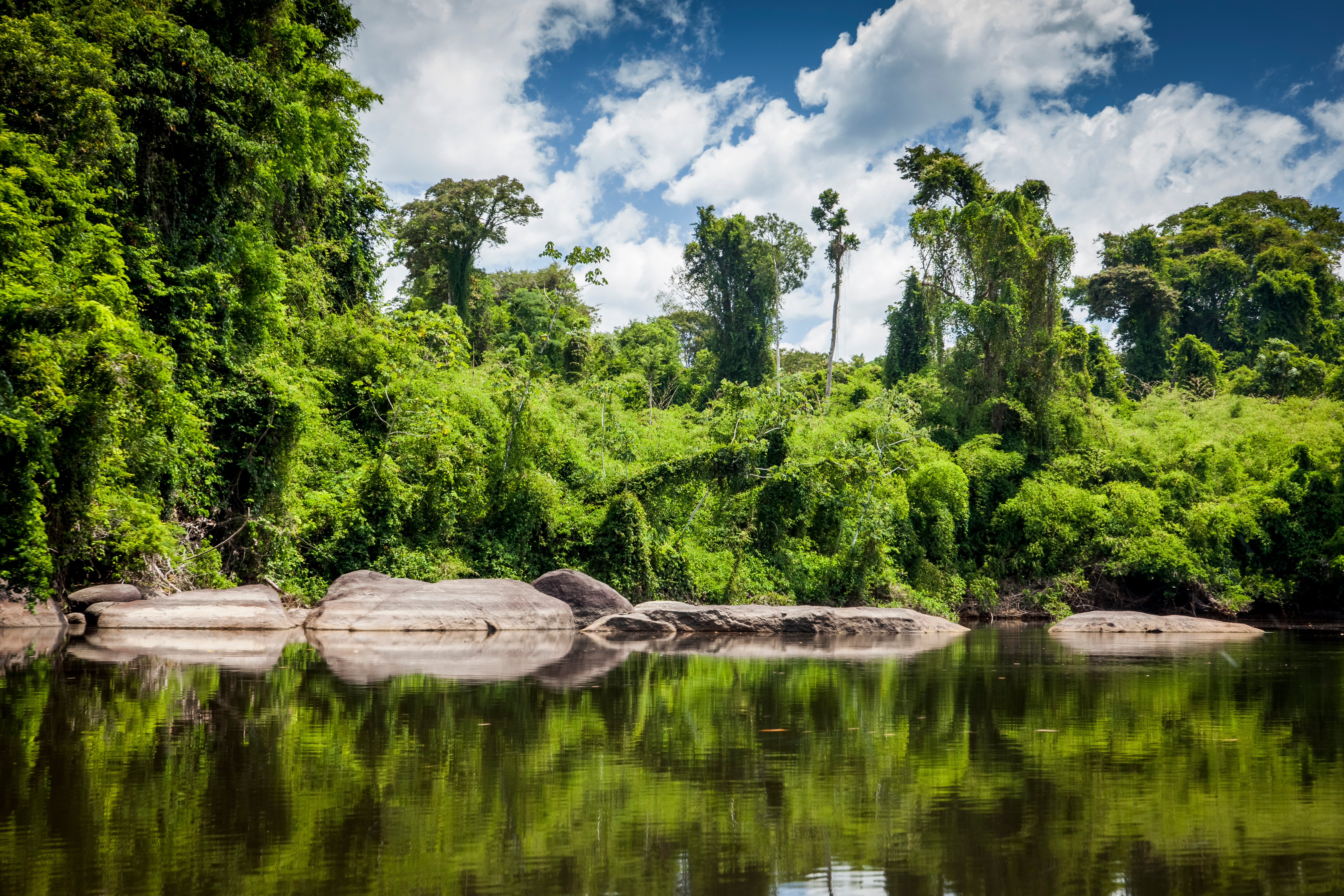 View On The Suriname River In Upper Suriname, Awarradam Jungle Camp View On The Suriname River In Upper Suriname, Awarradam Jungle Camp
