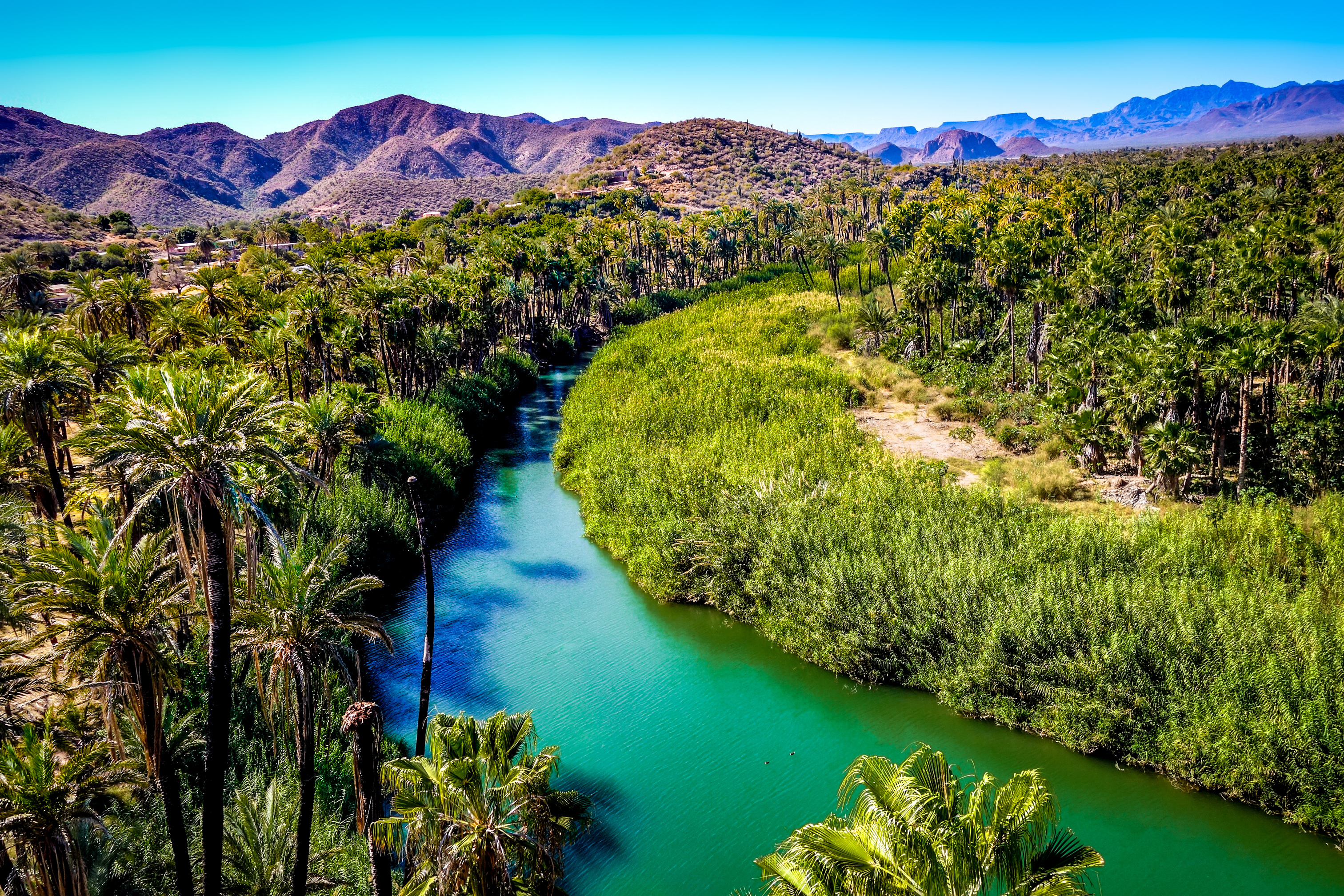 Mexico The Blue Green Mulege River Curves Through A Desert Oasis In Baja California Sur, Mexico Mexico The Blue Green Mulege River Curves Through A Desert Oasis In Baja California Sur, Mexico