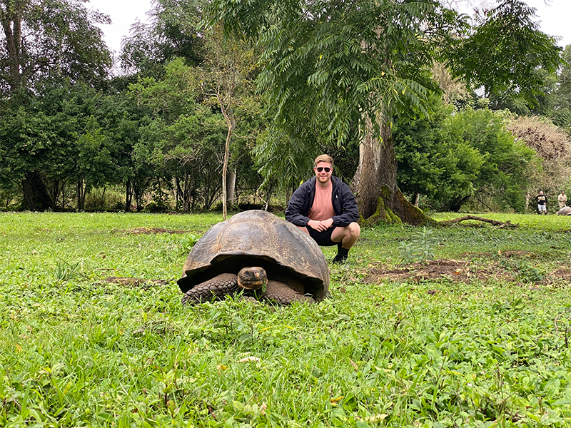 Charlie Giant Tortoise