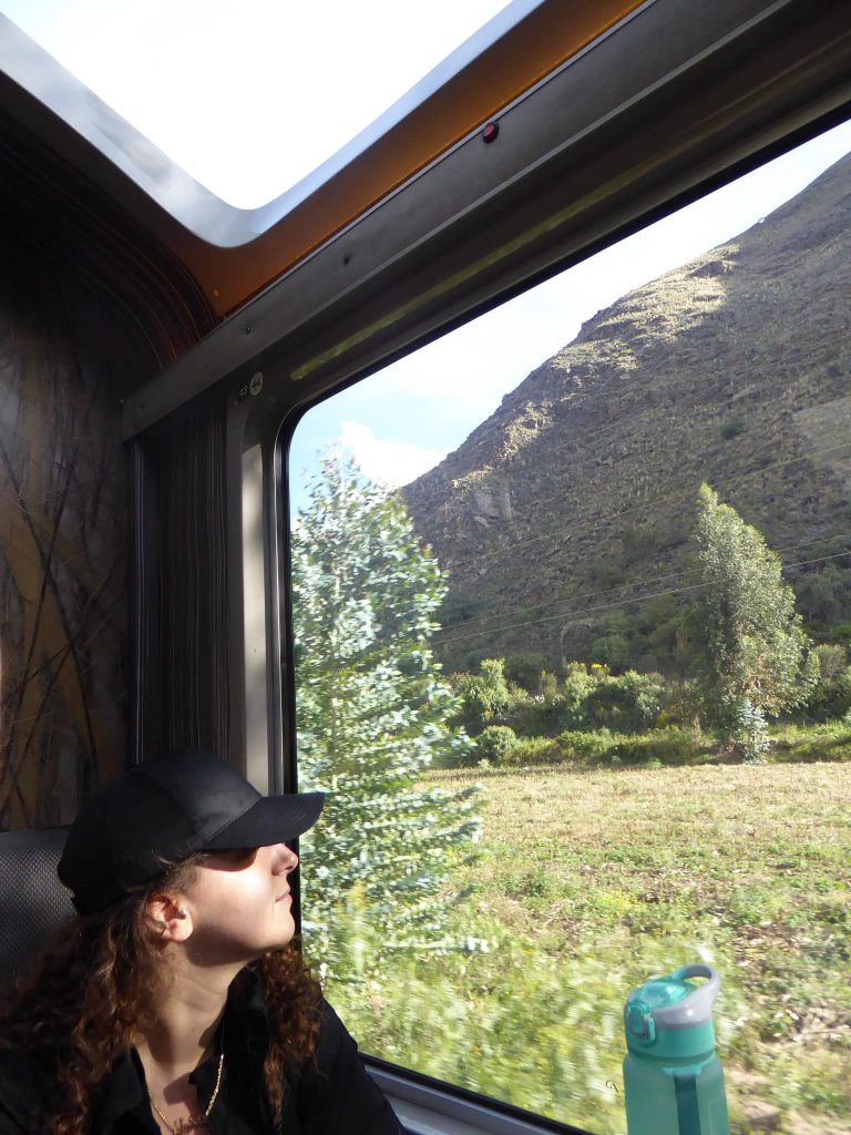 On the train to Aguas Calientes