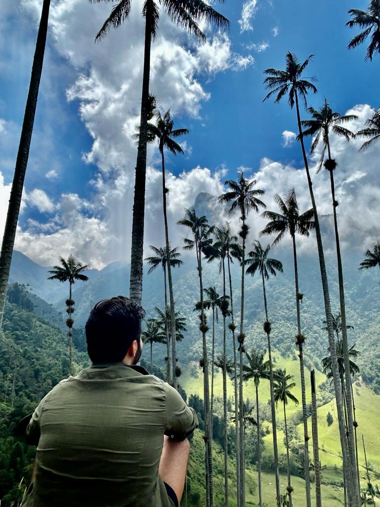 Felipe overlooking the enormous wax palms of Cocora