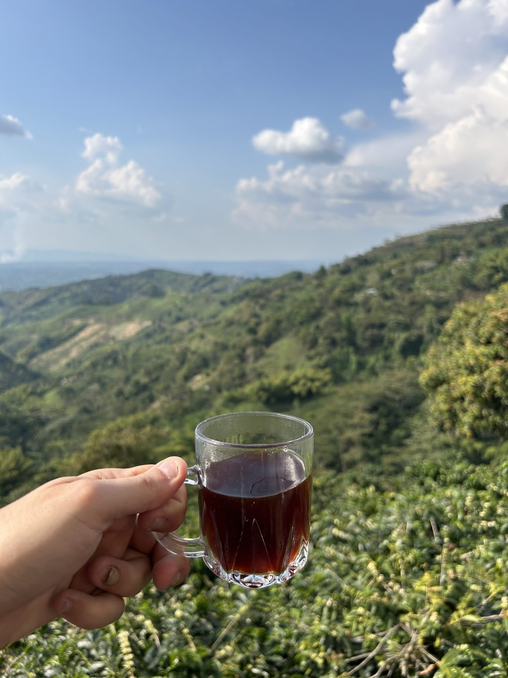 A freshly made cup of coffee with a view
